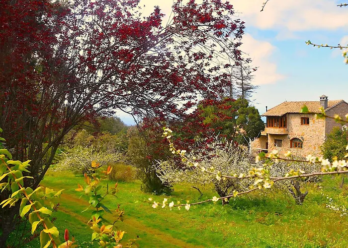 Casa Rural La Gustoza
